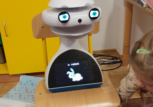 Robot EMYS